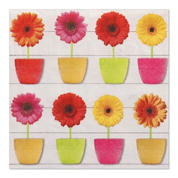 Servett, 3-lags 1/4-vikt 33 cm x 33 cm "Glowing Gerberas"