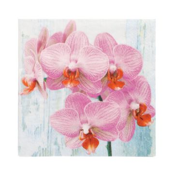 Servett, 3-lags 1/4-vikt 33 cm x 33 cm "Phalaenopsis"